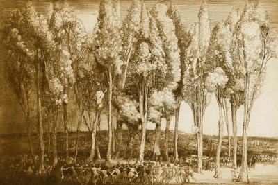 La danza della primavera da Donald Shaw MacLaughlan