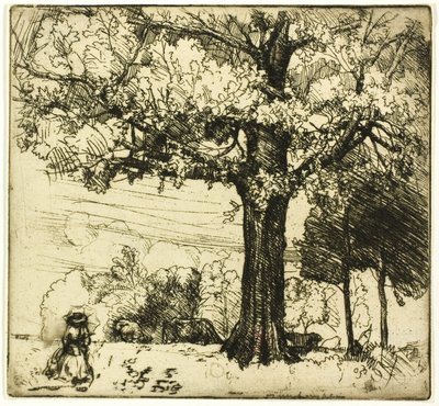 La Grande Quercia da Donald Shaw MacLaughlan
