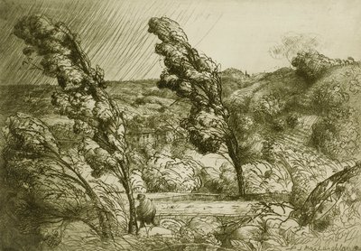 La Tempesta da Donald Shaw MacLaughlan