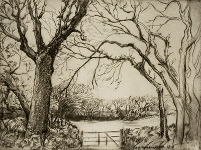 Legno di Tragenna da Donald Shaw MacLaughlan
