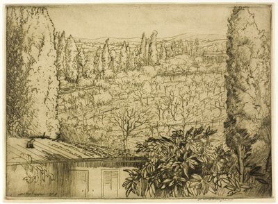 Toscana da Donald Shaw MacLaughlan
