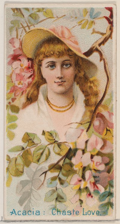 Acacia: Amore casto, dalla serie Bellezze floreali e linguaggio dei fiori N75 per Duk..., 1892 da Donaldson Brothers