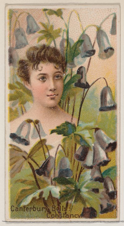 Campanule: Costanza, dalla serie Bellezze floreali e linguaggio dei fiori N75..., 1892 da Donaldson Brothers