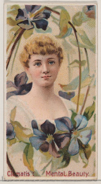 Clematide: Bellezza mentale, dalla serie Bellezze floreali e linguaggio dei fiori N75 per..., 1892 da Donaldson Brothers