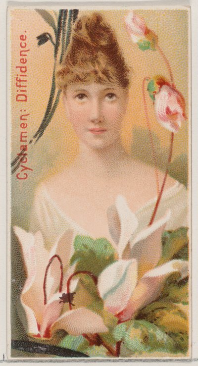 Ciclamino: Diffidenza, dalla serie Bellezze floreali e linguaggio dei fiori N75 per Du..., 1892 da Donaldson Brothers