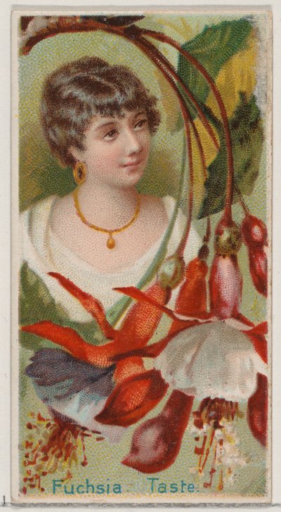 Fucsia: Gusto, dalla serie Bellezze floreali e linguaggio dei fiori N75 per Duke, 1892 da Donaldson Brothers
