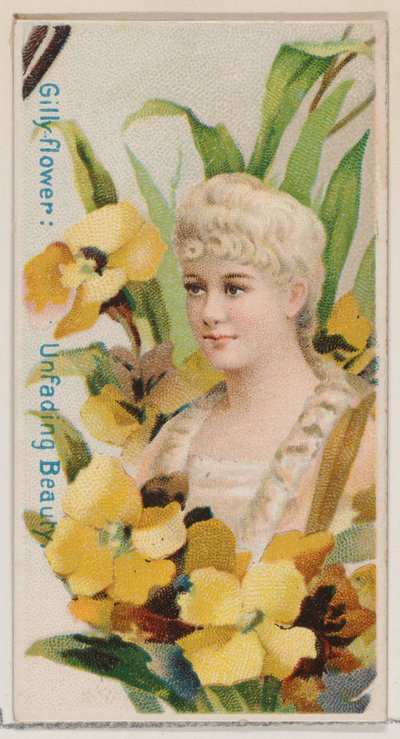 Garofano: Bellezza imperitura, dalla serie Bellezze floreali e linguaggio dei fiori N7..., 1892 da Donaldson Brothers