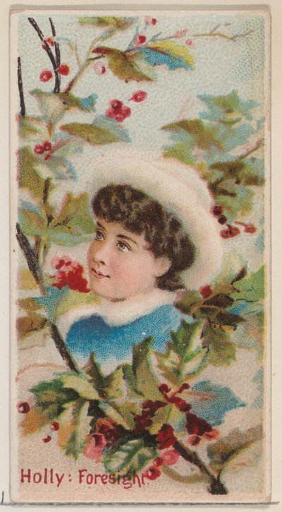 Agrifoglio: Preveggenza, dalla serie Bellezze Floreali e Linguaggio dei Fiori N75 per Duke da Donaldson Brothers
