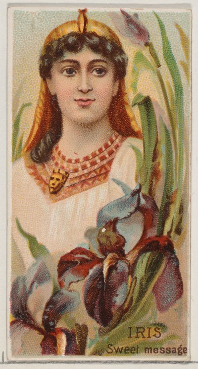 Iris: Dolce messaggio, dalla serie Bellezze floreali e linguaggio dei fiori N75 per Duk..., 1892 da Donaldson Brothers