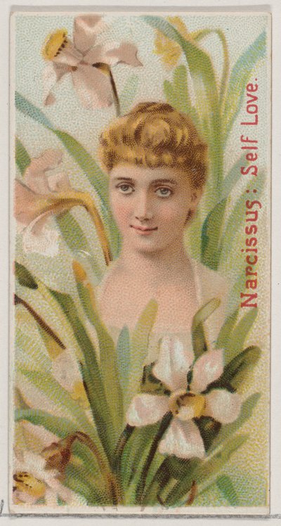 Narciso: Amore per se stessi, dalla serie Bellezze floreali e linguaggio dei fiori N75 per Du... da Donaldson Brothers