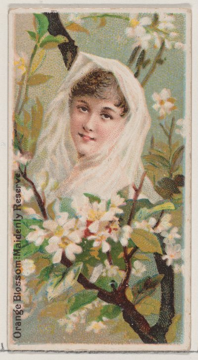 Fiori d