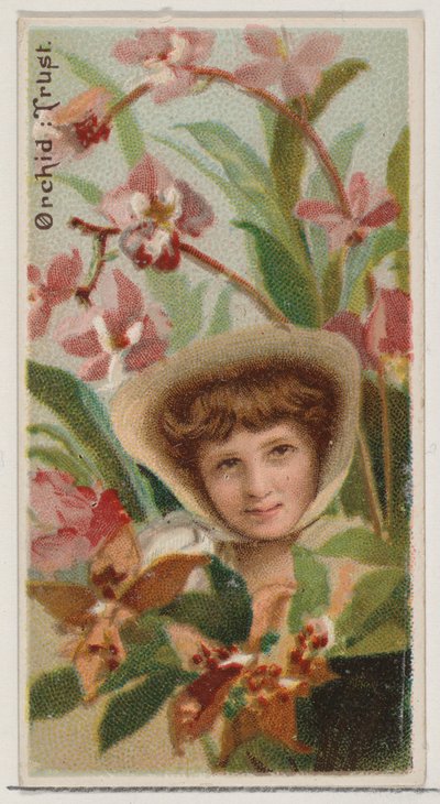 Orchidea: Fiducia, dalla serie Bellezze floreali e linguaggio dei fiori N75 per Duke da Donaldson Brothers