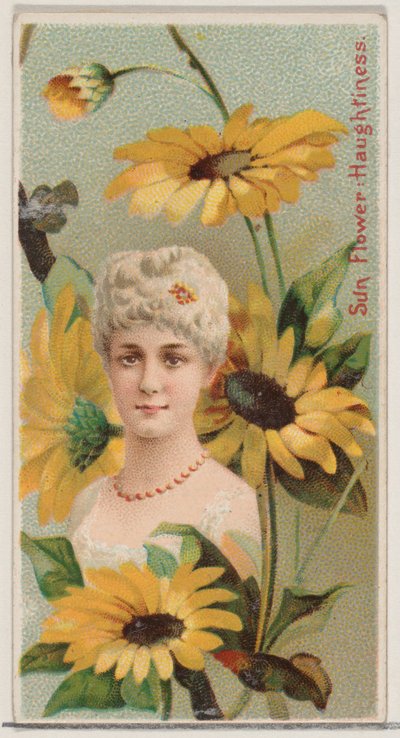 Girasole: arroganza, dalla serie Bellezze floreali e linguaggio dei fiori N75 da Donaldson Brothers