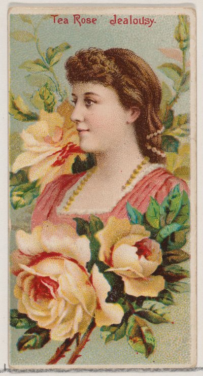 Rosa Tea: Gelosia, dalla serie Bellezze floreali e linguaggio dei fiori N75 per Duke..., 1892 da Donaldson Brothers