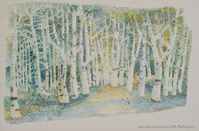 Foresta di betulle da Donatella Merlo