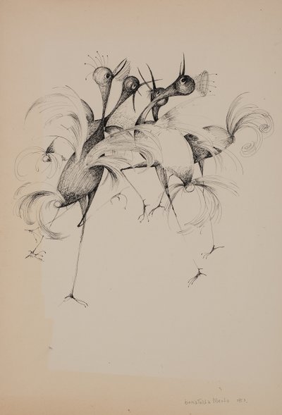 Uccelli da Donatella Merlo