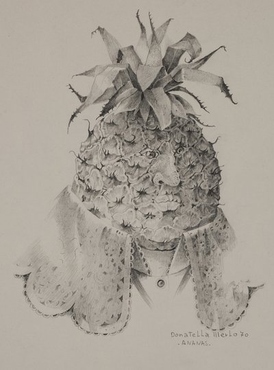 Ananas da Donatella Merlo