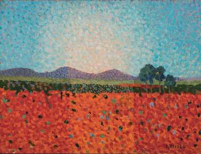 Campo di papaveri da Donatella Merlo