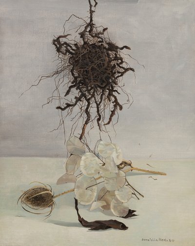 Radice da Donatella Merlo