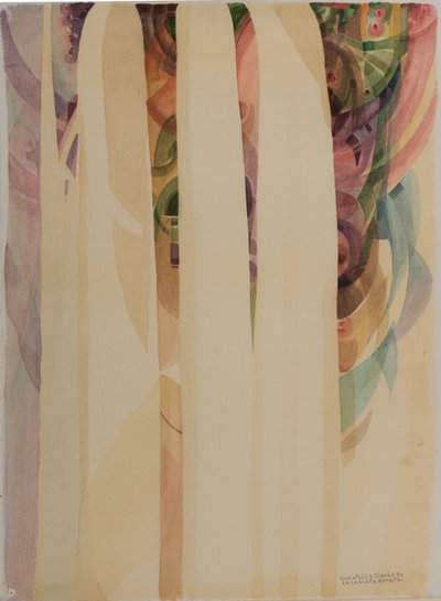 La cascata dorata da Donatella Merlo