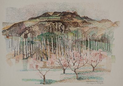 Il vigneto di Vergne da Donatella Merlo