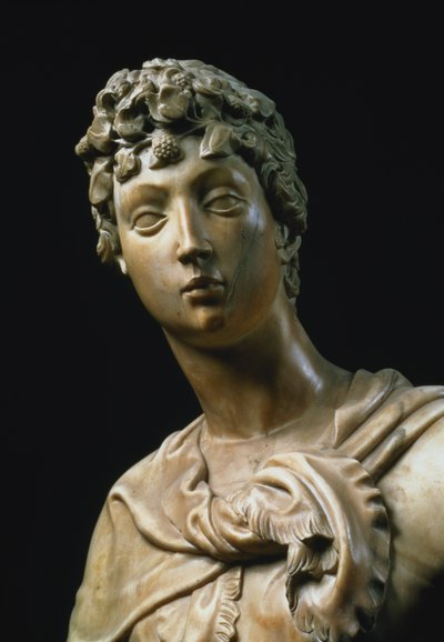 David, dettaglio della testa da Donatello