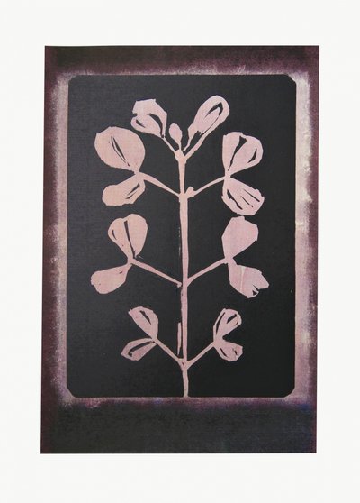 Sagoma botanica scura da Doris Schmitz