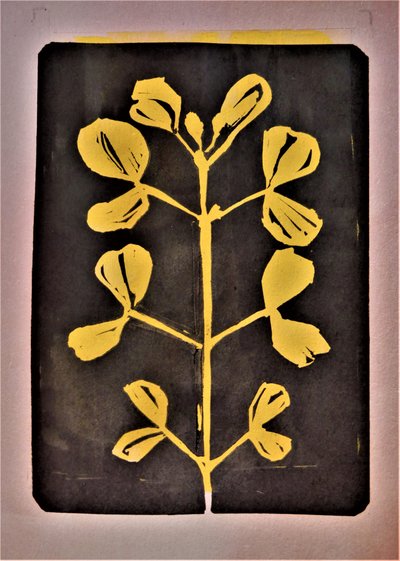 Forma botanica dorata da Doris Schmitz