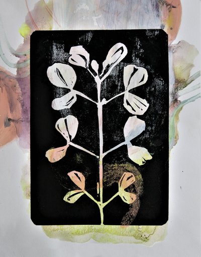Studio botanico a pastello da Doris Schmitz