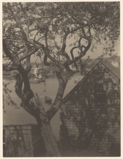 Scena del porto, probabilmente Gloucester, Massachusetts da Doris Ulmann