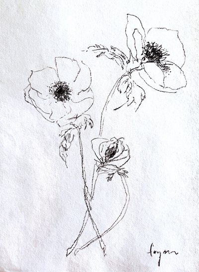 Delicato schizzo di un fiore da Dorothy Fagan