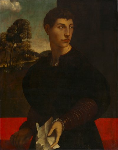 Ritratto di un giovane uomo, c. 1530 da Dosso (follower of) Dossi