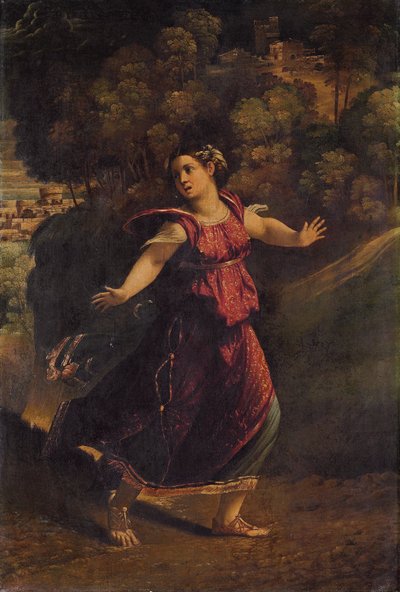 Una donna in fuga su un sentiero boscoso, c.1520s da Dosso Dossi