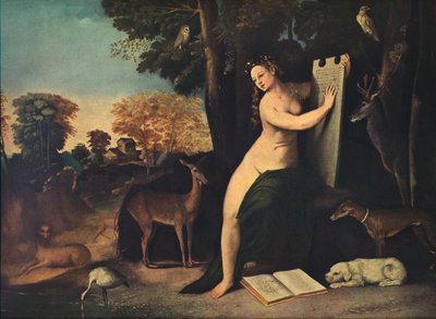 Circe e i suoi amanti in un paesaggio da Dosso Dossi
