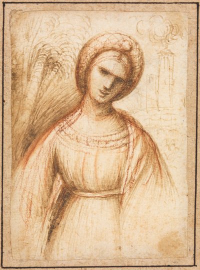 Signora in un paesaggio (recto), Profilo a busto di una vecchia (verso), c. 1521 da Dosso Dossi