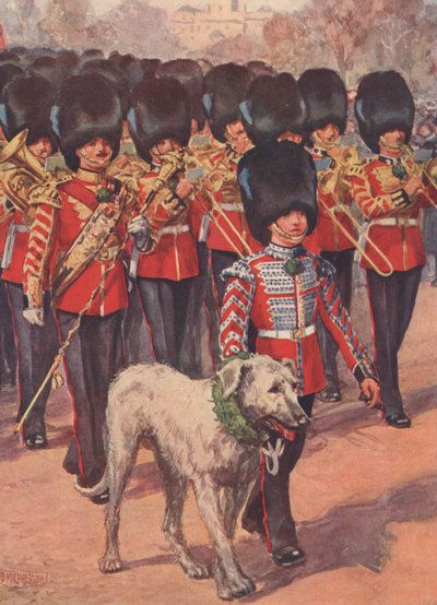 La banda e la mascotte levriero irlandese delle Guardie Irlandesi che indossano il trifoglio nel giorno di San Patrizio da Douglas (after) Macpherson