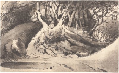 Paesaggio boscoso da Dr. Thomas Monro