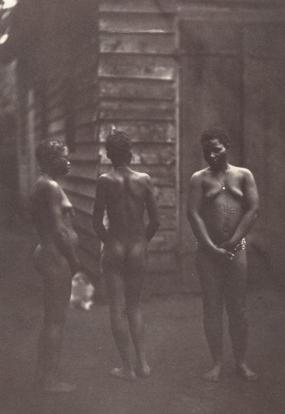 Tre Donne Malgasce (Tavola 30) da Désiré Charnay