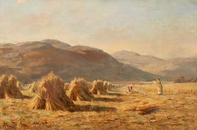 Raccolta vicino a Dumyat, colline di Ochil da Duncan Cameron