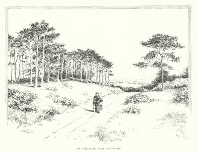 Sulla strada vicino a Hindhead da Duncan Moul