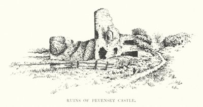 Rovine del castello di Pevensey da Duncan Moul