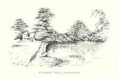 Stagni di Squerryes, Westerham da Duncan Moul