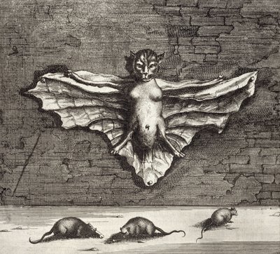 Un pipistrello noto come gatto volante, da China Illustrata di Athanasius Kircher (1601-80) 1667 da Dutch School