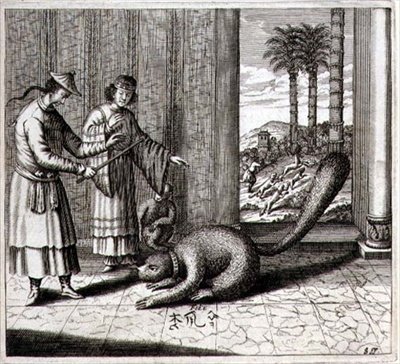 Un animale strano, da 
