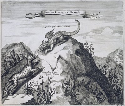 Una montagna nella provincia di Jiangxi con scogli noti come il Drago e la Tigre, da China Illustrated di Athanasius Kircher (1601-80) 1667 da Dutch School