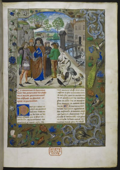 Bartholomaeus Angelicus, da De proprietatibus rerum in francese (Livre des proprietez des choses) da Dutch School