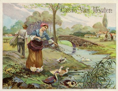 Allevamento di anatre da Dutch School