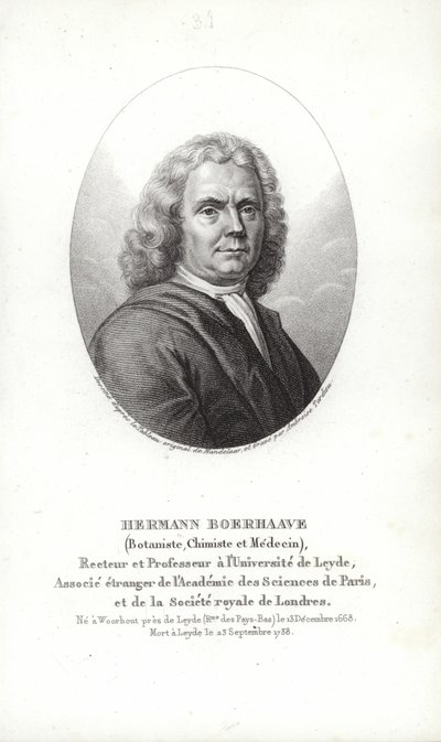 Herman Boerhaave da Dutch School