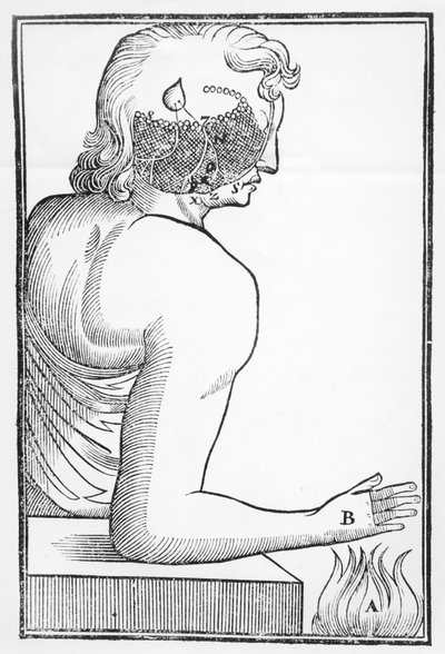Illustrazione del funzionamento e dell