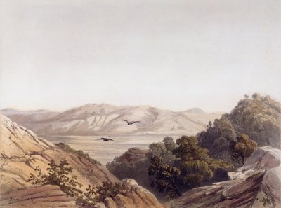 Monte Carmelo, Israele, inciso da L. A Sabatier da Dutch School